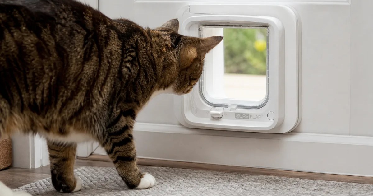 SureFlap Microchip Cat Flap Connect in use — AI-generated illustration