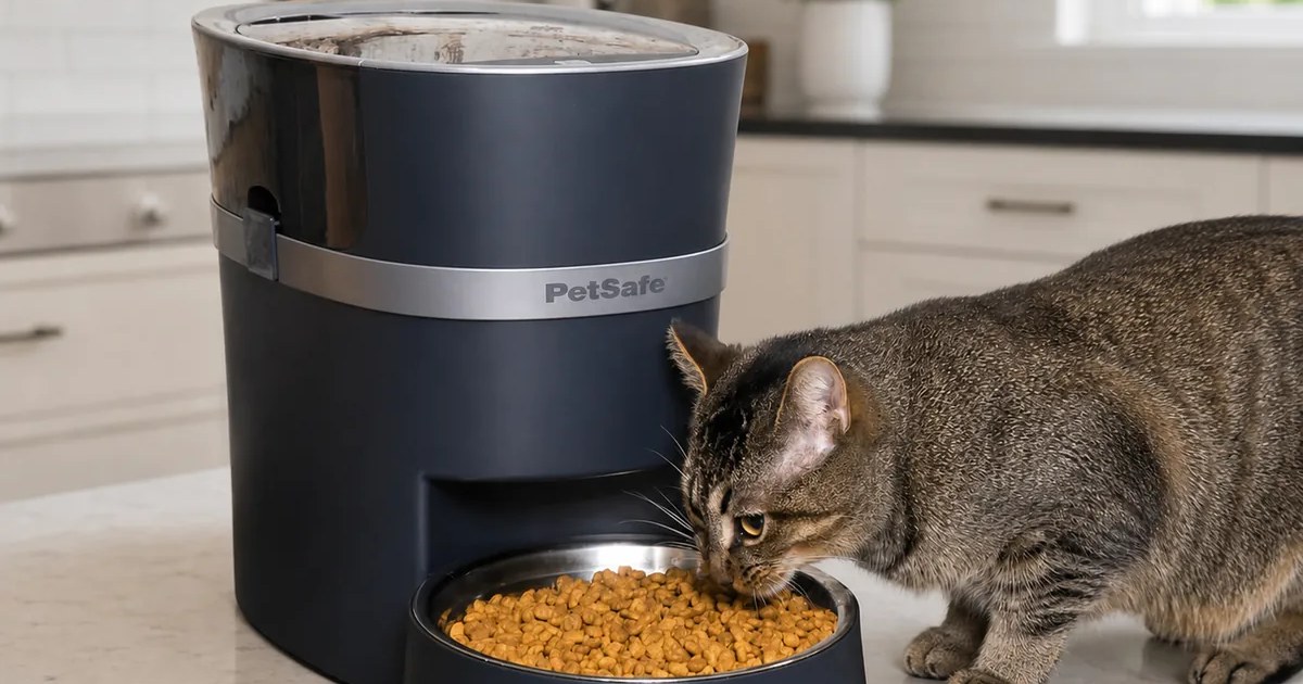 PetSafe Smart Feed Automatic Dog and Cat Feeder, 2nd Generation in use — AI-generated illustration