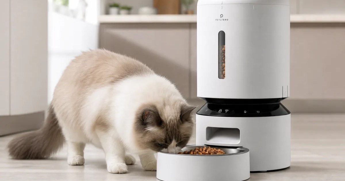 PETLIBRO Granary Automatic Cat Feeder with Wi-Fi in use — AI-generated illustration