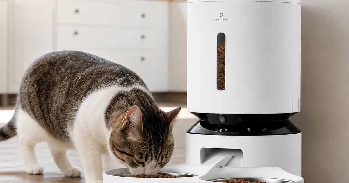 PETLIBRO Granary Automatic Cat Feeder with Camera for Two Cats in use — AI-generated illustration