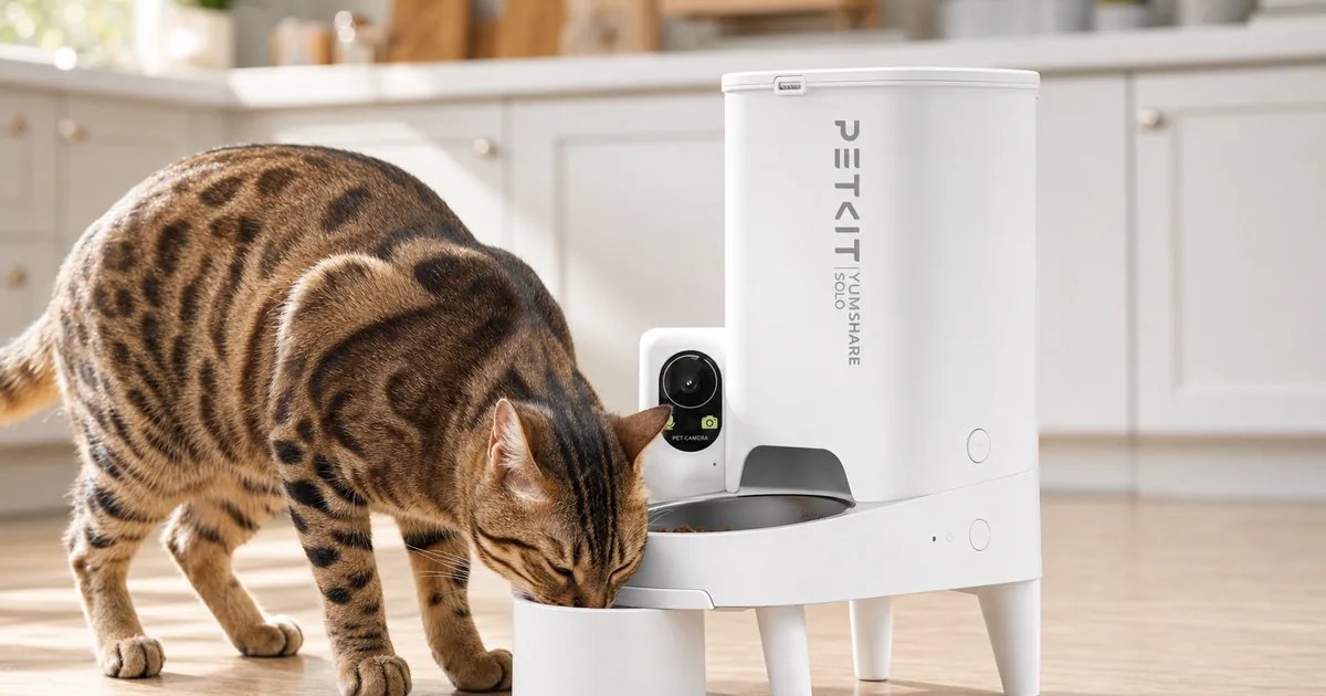 PETKIT YumShare Solo Automatic Cat Feeder with Camera in use — AI-generated illustration