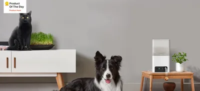 Petcube Bites 2 Lite Pet Camera with Treat Dispenser
