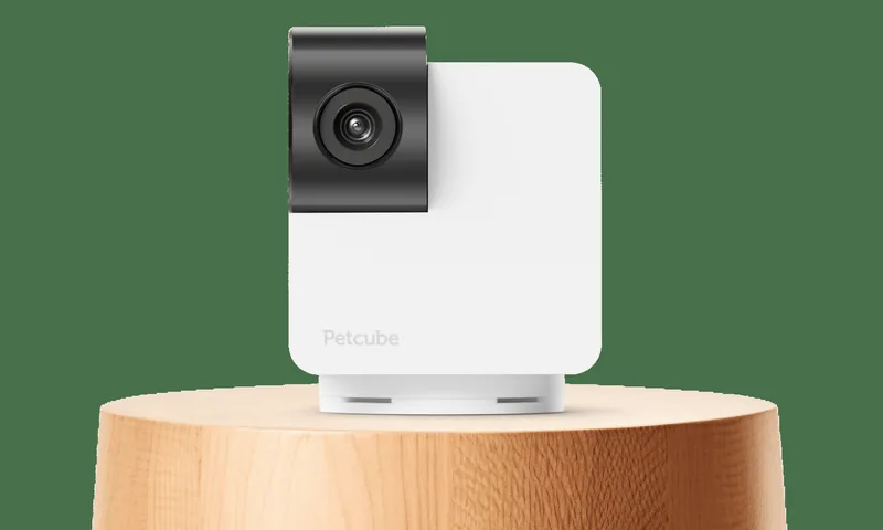 Petcube Cam 360 Pet Monitoring Camera — product photo